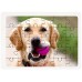Voorbeeld van een 30-delige gepersonaliseerde fotopuzzel op wit karton