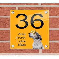 Hond achtergrond huisnummer bord met naam, foto ontwerpen 