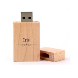 Iris cadeau usb stick 8GB
