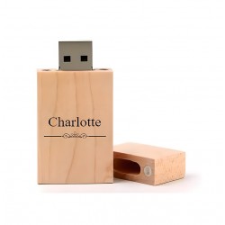 CHARLOTTE cadeau usb stick 8GB