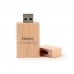 Danny Naam Cadeau USB Stick in Houten Ontwerp