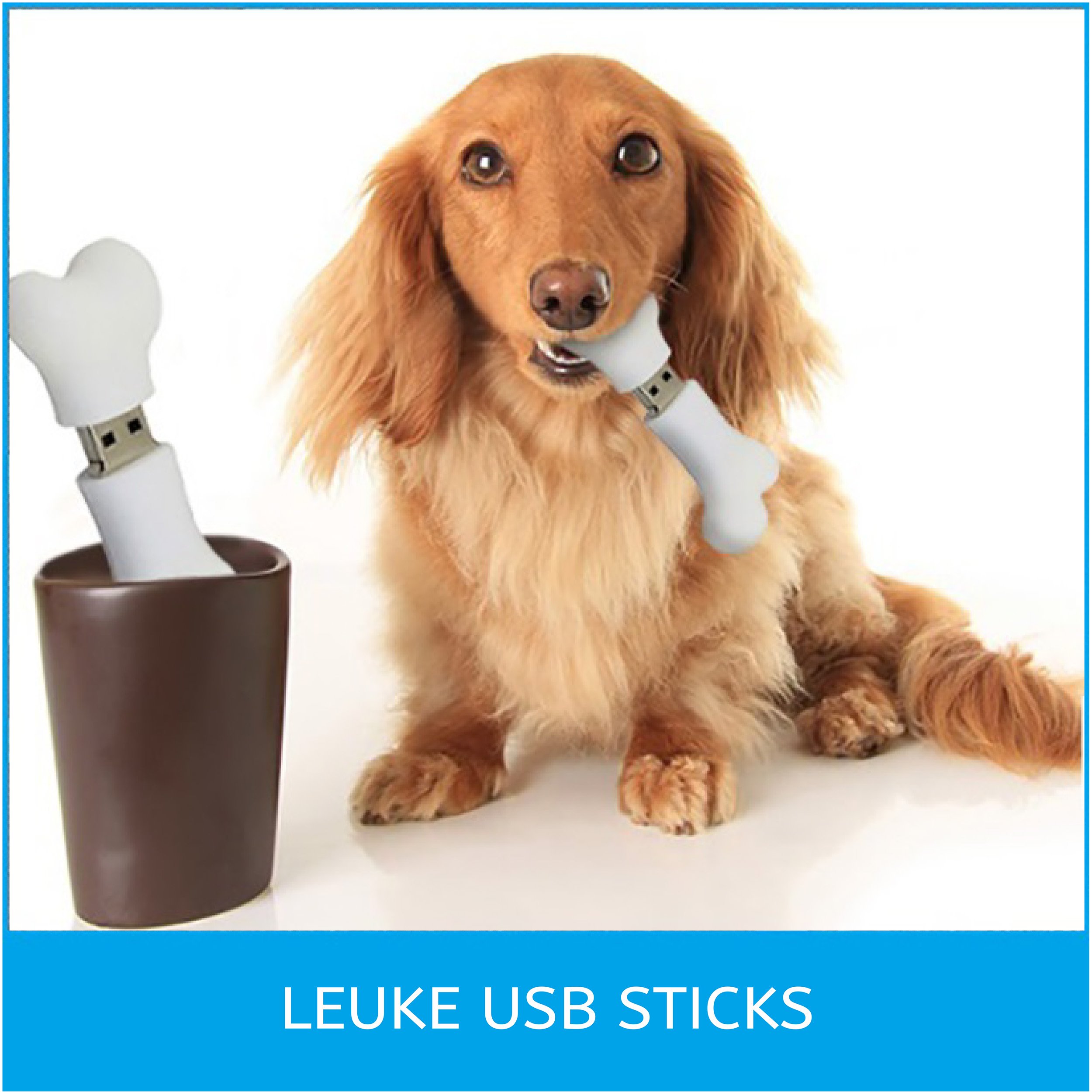 1001 Soorten Leuke USB-sticks